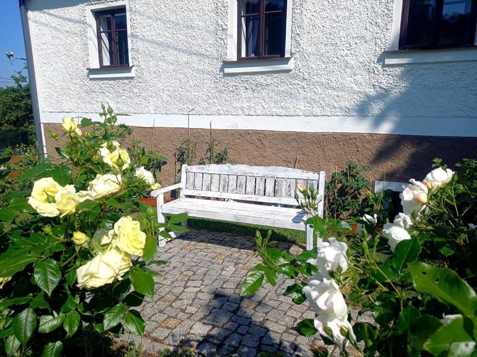 Penzion Pod Sudem Lázně Libverda Bagian luar foto