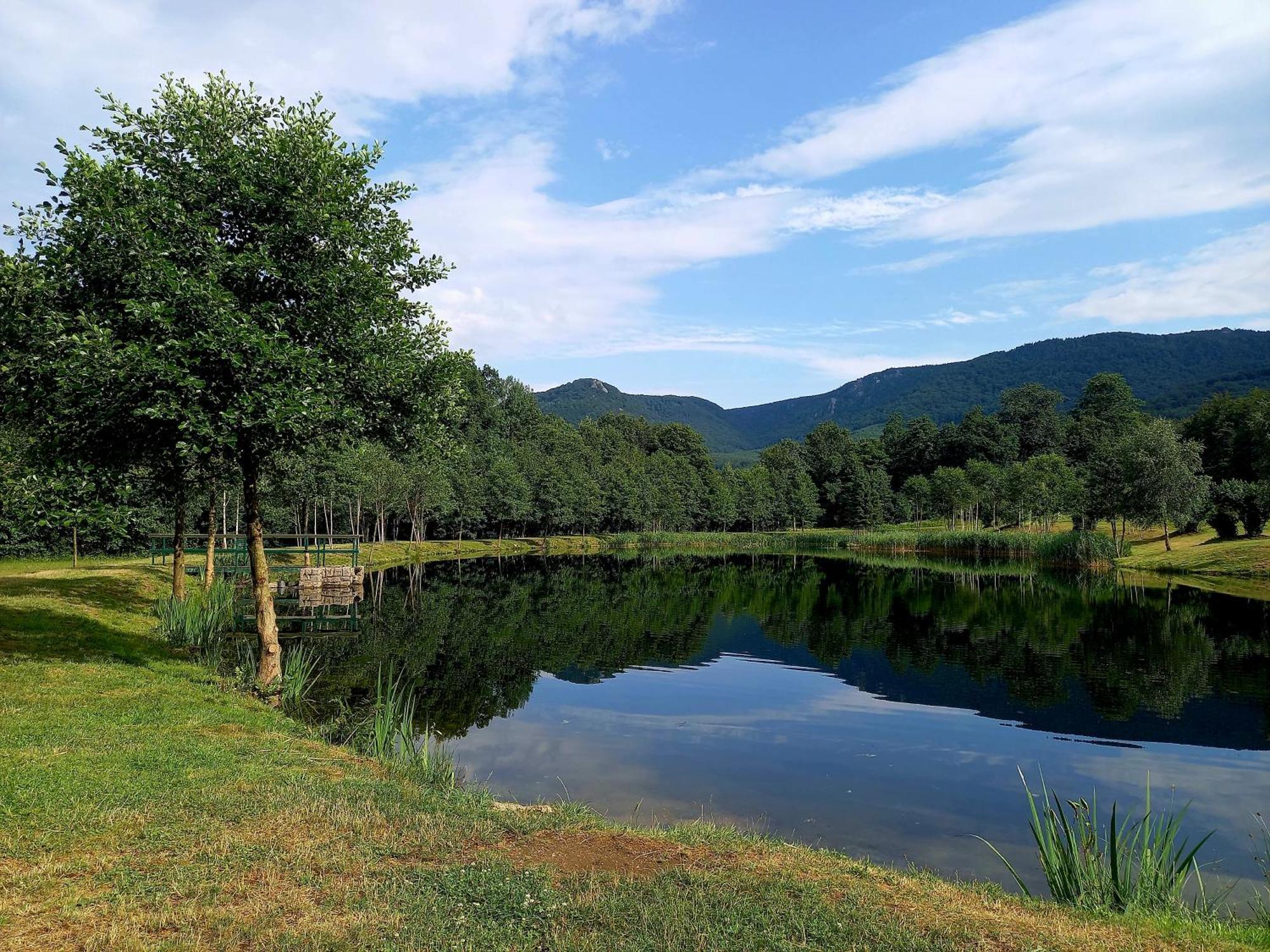 Penzion Pod Sudem Lázně Libverda Bagian luar foto